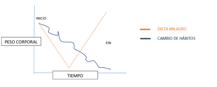 grafico-perdidadepeso