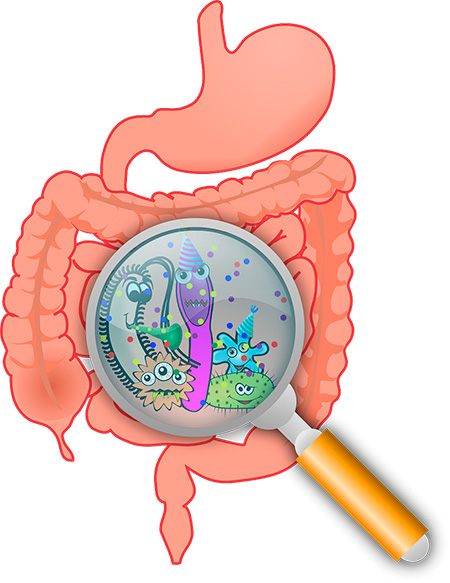 intestino-irritable