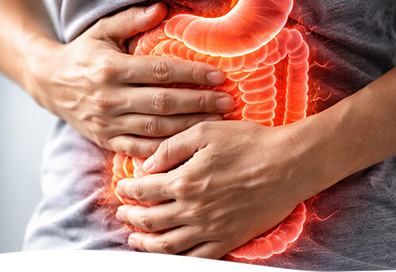 intestino1