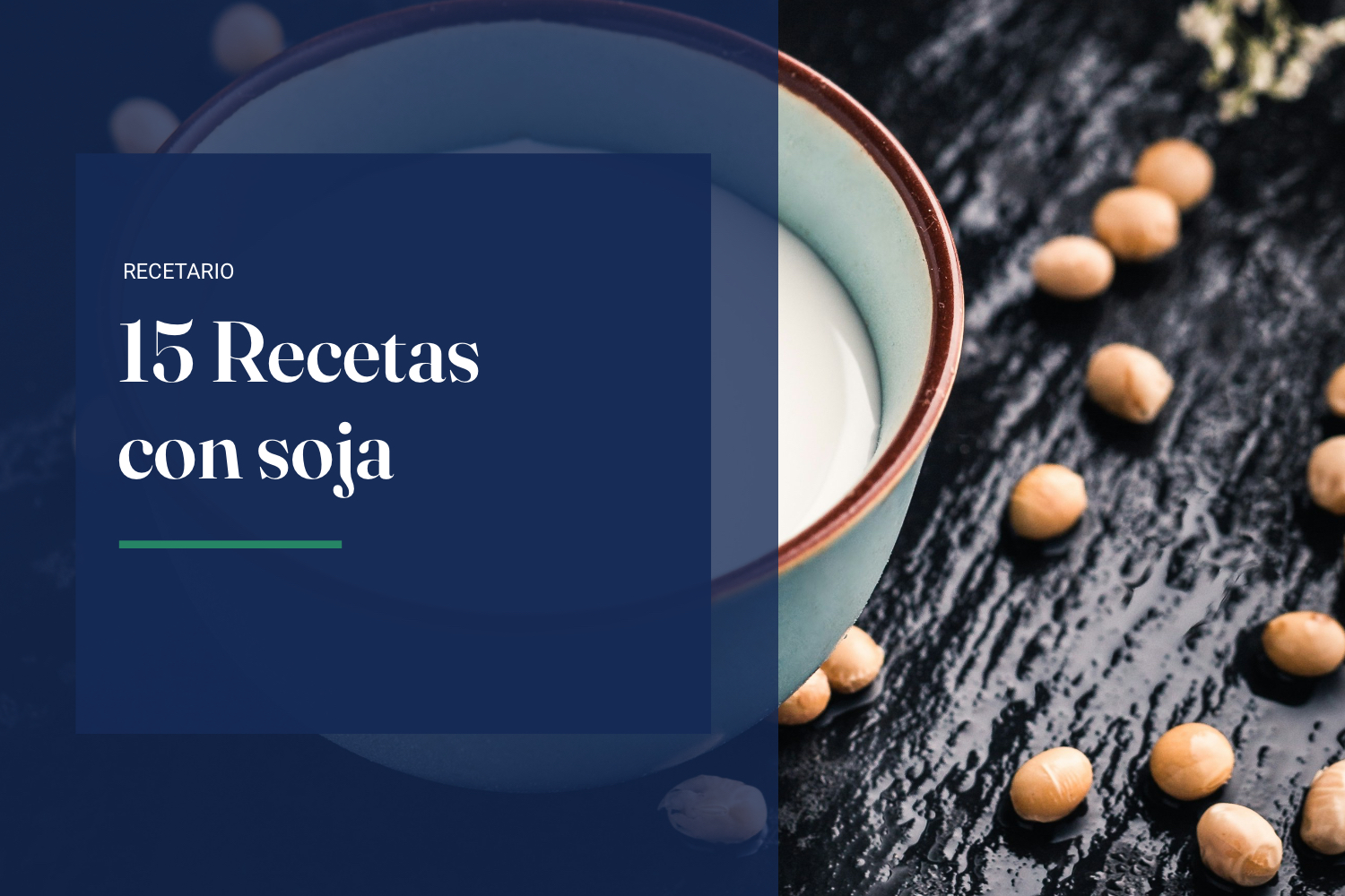 15 RECETAS CON SOJA